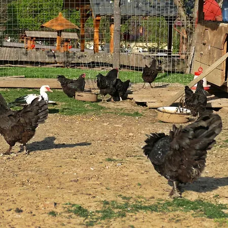 Pensiunea Maramu Farm stay Breb
